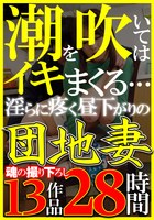 潮を吹いてはイキまくる… 淫らに疼く昼下がりの団地妻 魂の撮り下ろし13作品28時間福袋